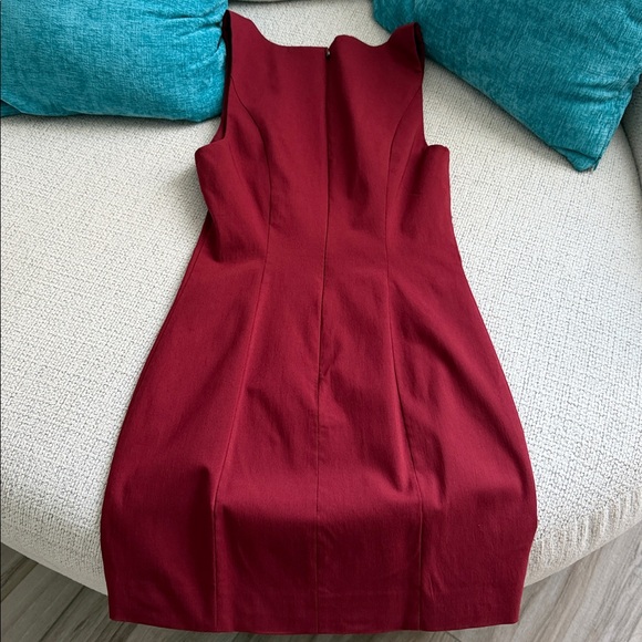 Camila Coelho Rich Red Mini Dress - Picture 7 of 9